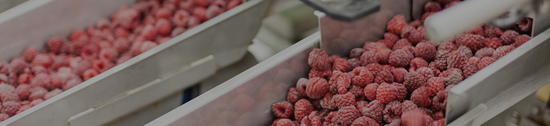 关于HJC黄金城集团